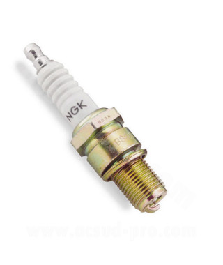 BOUGIE NGK BR8ES OLIVE FIXE ( 3961 )