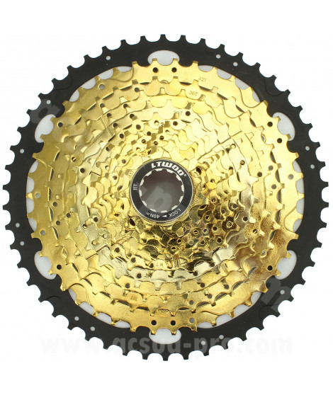 CASSETTE 12 VITESSES GOLD 11-50 L-TWOO A12