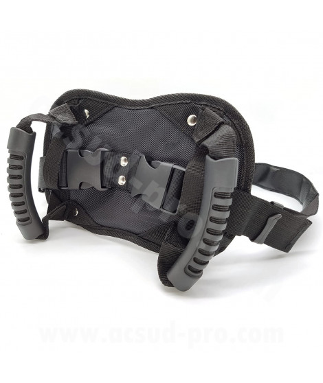 CEINTURE DE SECURITE POUR LE TRANSPORT DE PASSAGER (AVEC POIGNEES POUR PASSAGER)