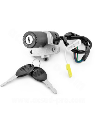 CONTACTEUR A CLE MOTO ADAPT. RIEJIU MRT / MRX / SMX / RS2 / PEUGEOT  XR6 / XR7 / NK7 / XP7 / XP6 / XPS / TANGO