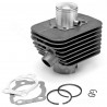CYLINDRE CYCLO TNT FONTE ADAPT. PIAGGIO CIAO Ø38.2mm (axe Ø10) (OEM : 196121)