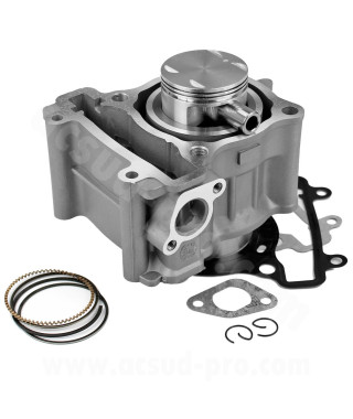 CYLINDRE MAXISCOOTER RB MAX FONTE ADAPT. YAMAHA 125 XMAX-WR-YZF R-MT-FANTIC Evo Ø52mm 2006-2020 (TENDEUR DE CHAINE ROND) axe Ø14