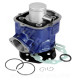 CYLINDRE MOTO CARENZI FONTE ADAPT. DERBI 50 SENDA 2006 / GPR 2006 / GILERA 50 SMT 2006 / RCR 2006 (EURO 3) (FONTE PREMIUM)