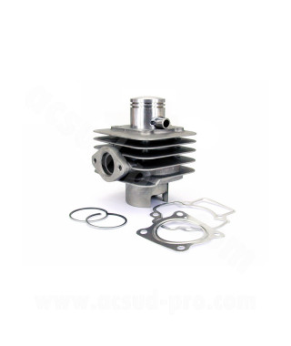CYLINDRE SCOOTER CARENZI ALU ADAPT. PIAGGIO 50 ZIP / FLY / TYPHOON / VESPA LX / GILERA 50 STALKER / APRILIA 50 SR