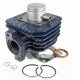 CYLINDRE SCOOTER CARENZI FONTE ADAPT. PEUGEOT LUDIX ONE / TREND / SNAKE / CLASSIC / VIVACITY 2T 2008 / KISBEE 2T (FONTE PREMIUM)