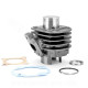 CYLINDRE SCOOTER TNT FONTE ADAPT. MBK OVETTO / MACH G / YAMAHA NEOS / JOG / APRILIA SR50 / TNT MOTOR ROMA / GRIDO 2T 50cc
