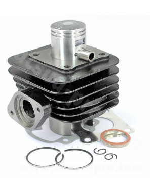 CYLINDRE SCOOTER TNT FONTE ADAPT. SYM 50CC ORBIT / JET EURO X 2T (OEM : 12100-T5C0-00A)
