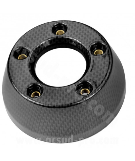 EMBOUT ECHAPPEMENT RB MAX ADAPT. YAMAHA TMAX 500 / MAJESTY 400 2001-2007 CARBONE