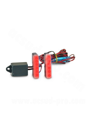 ENSEMBLE LEDS CLIGNOTANTS ROUGE LOT30874 *