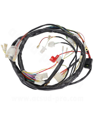 FAISCEAU ELECTRIQUE TYPE ORIGINE ADAPT DERBI SENDA 50 2006-2010 (DB50B0) GILERA SMT-RCR 2006-10 (OEM : 00H01046301)