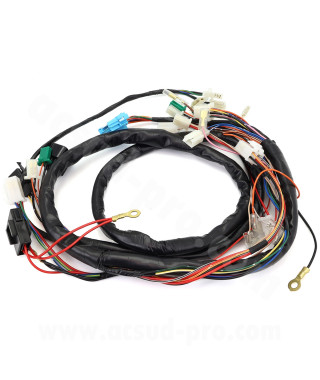FAISCEAU ELECTRIQUE TYPE ORIGINE ADAPT MBK NITRO   2004 / YAMAHA AEROX  2004  (OEM : 5JW-H2590-30)