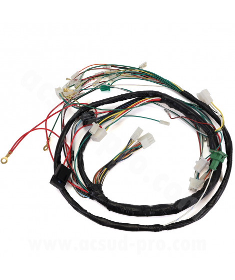FAISCEAU ELECTRIQUE TYPE ORIGINE ADAPT PEUGEOT SPEEDFIGHT 2