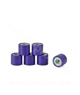 GALET VARIATEUR MAXISCOOTER TNT Ø19 x 17 8. 5g ADAPT. PIAGGIO X8 / X9 125 / MP3 125 / FLY 125 4T / LIBERTY 125