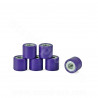 GALET VARIATEUR MAXISCOOTER TNT Ø19 x 17 8. 5g ADAPT. PIAGGIO X8 / X9 125 / MP3 125 / FLY 125 4T / LIBERTY 125