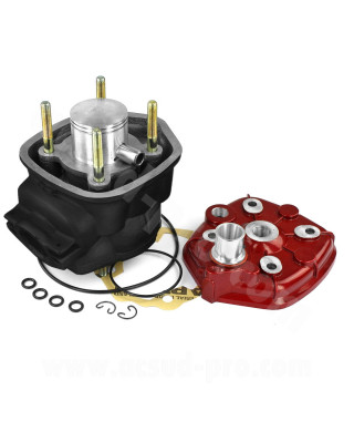 HAUT MOTEUR MOTO MVT IRON MAX FONTE ADAPT. DERBI EURO 3 (CYLINDRE + CULASSE)