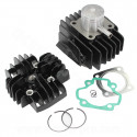 HAUT MOTEUR TNT FONTE ADAPT. YAMAHA PW 50CC 2T / Ø40 AXE Ø10 (CYLINDRE + CULASSE)