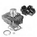 HAUT MOTEUR TNT FONTE ADAPT. YAMAHA PW 80cc 2T / Ø47 AXE Ø12 (CYLINDRE + CULASSE)