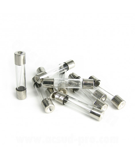 KIT 10 FUSIBLES VERRE 6X30 10A