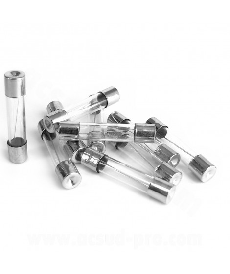 KIT 10 FUSIBLES VERRE 6X30 8A