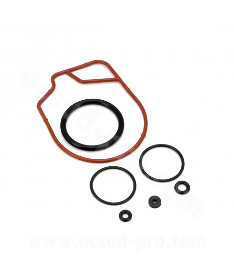 KIT REPARATION CARBURATEUR ADAPT. DELLORTO PHVA 17.5  (52625.77)