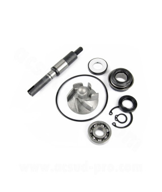 KIT REPARATION POMPE A EAU MAXISCOOTER ADAPT. HONDA SH / PANTHEON / DYLAN / SWING 125 / 150CC 2001-2008