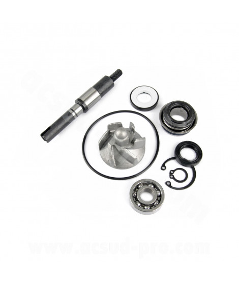 KIT REPARATION POMPE A EAU MAXISCOOTER ADAPT. HONDA SH / PANTHEON / DYLAN / SWING 125 / 150CC 2001-2008