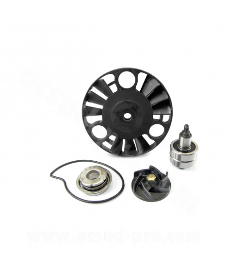 KIT REPARATION POMPE A EAU MAXISCOOTER ADAPT. PIAGGIO MP3 125 / X EVO /  X7 / X8 / X9 / VESPA GTS  EU3 07 (OEM : 872908)