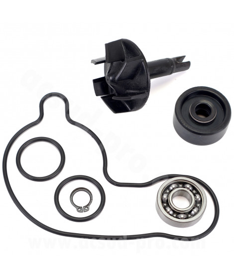 KIT REPARATION POMPE A EAU MAXISCOOTER ADAPT. YAMAHA 300 XMAX 2017