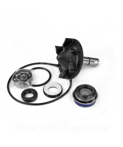 KIT REPARATION POMPE A EAU MAXISCOOTER ADAPT. YAMAHA TMAX 530cc 2012-2016