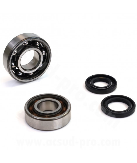 KIT ROULEMENTS (6203 TVH C3 FAG +  6204 TVH C3 FAG) + JOINTS SPI ADAPT. CYCLO PEUGEOT 103