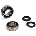 KIT ROULEMENTS (6203 TVH C3 FAG +  6204 TVH C3 FAG) + JOINTS SPI ADAPT. CYCLO PEUGEOT 103