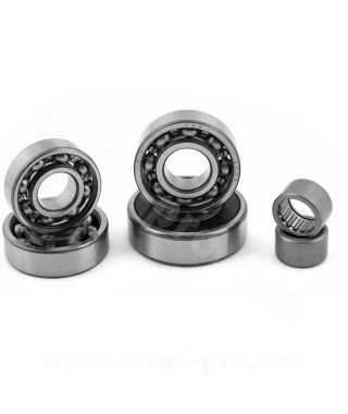 KIT ROULEMENTS BOITE DE VITESSE MOTO ADAPT. MOTEUR MINARELLI AM6