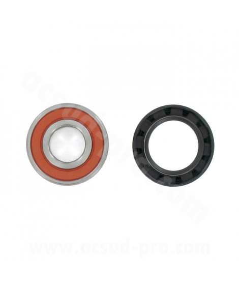 KIT ROULEMENTS DE ROUE ARRIERE + JOINT SPI  ADAPT. PIAGGIO 50 TYPHOON . NRG ( 6204 2RS TPI )