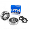 KIT ROULEMENTS NTN  (6204 JR2 C4) + JOINTS SPI ADAPT. PEUGEOT LUDIX / JET FORCE / SPEEDFIGHT 3 / KISBEE 2T