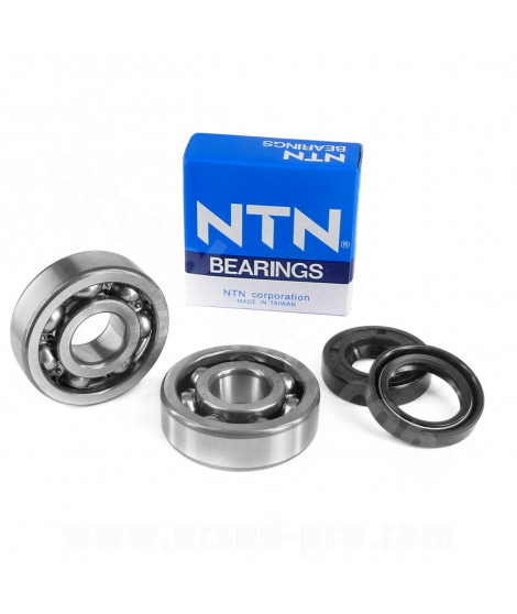 KIT ROULEMENTS NTN (6204 JR2 C4) + JOINTS SPI VITON ADAPT. DERBI SENDA / GPR / GILERA 50 SMT / RCR (MOTEUR EURO 2 / EURO 3)