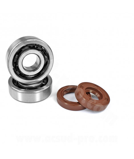KIT ROULEMENTS NTN (6303 T2XC4) CAGE POLYAMIDE + JOINTS VITON ADAPT.  MOTEUR AM6