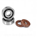 KIT ROULEMENTS NTN (6303 T2XC4) CAGE POLYAMIDE + JOINTS VITON ADAPT.  MOTEUR AM6