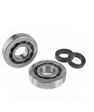 KIT ROULEMENTS NTN (SCO4A47CS29) + JOINTS SPI ADAPT. PIAGGIO ZIP / TYPHOON / NRG / GILERA STALKER / RUNNER