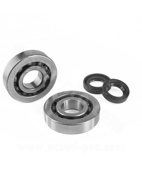 KIT ROULEMENTS NTN (SCO4A47CS29) + JOINTS SPI ADAPT. PIAGGIO ZIP / TYPHOON / NRG / GILERA STALKER / RUNNER