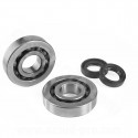 KIT ROULEMENTS NTN (SCO4A47CS29) + JOINTS SPI ADAPT. PIAGGIO ZIP / TYPHOON / NRG / GILERA STALKER / RUNNER