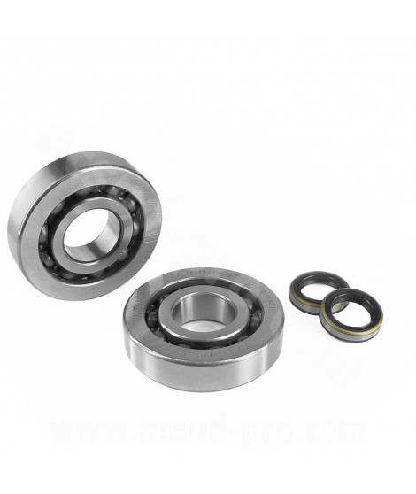 KIT ROULEMENTS (SKF 440146C) + JOINTS SPI ADAPT. CYCLO MBK 51