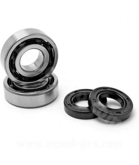 KIT ROULEMENTS TPI (6204 TVH C4) + JOINTS SPI ADAPT. DERBI SENDA / GPR / GILERA 50 SMT / RCR ( MOTEUR EURO 2 / EURO 3 )