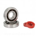 KIT ROULEMENTS TPI (6204 TVH C4) + JOINTS SPI ADAPT. PEUGEOT LUDIX / JET FORCE / SPEEDFIGHT 3