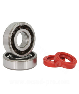 KIT ROULEMENTS TPI (SCO4A47CS29) + JOINTS SPI ADAPT. PEUGEOT BUXY / SQUAB / TREKKER / TKR / VIVACITY / SPEEDFIGHT 1 ET 2