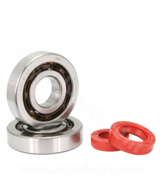 KIT ROULEMENTS TPI (SCO4A47CS29) + JOINTS SPI ADAPT. PIAGGIO ZIP / TYPHOON / NRG / GILERA STALKER / RUNNER