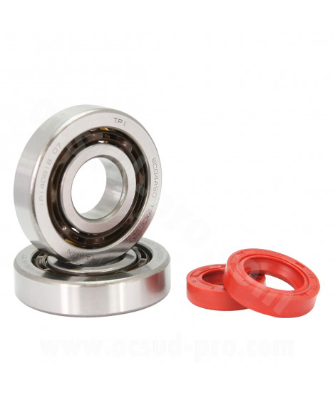 KIT ROULEMENTS TPI (SCO4A47CS29) + JOINTS SPI ADAPT. PIAGGIO ZIP / TYPHOON / NRG / GILERA STALKER / RUNNER
