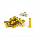 KIT VIS BTR CARTER DE KICK ADAPT. MBK BOOSTER  / YAMAHA BWS / STUNT / SLIDER 50CC ( COULEUR OR )
