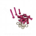 KIT VIS BTR CARTER DE KICK ADAPT. MBK BOOSTER  / YAMAHA BWS / STUNT / SLIDER 50CC ( COULEUR ROUGE )