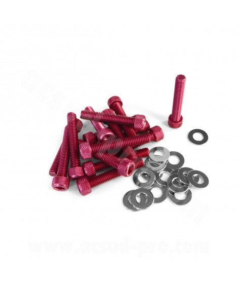KIT VIS BTR CARTER DE KICK ADAPT. PIAGGIO TYPHOON ( COULEUR ROUGE )