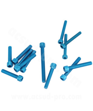 KIT VIS BTR CARTER EMBRAYAGE BLEU ADAPT. MOTEUR DERBI EURO 3 /4   ( VIS POMPE A EAU + POMPE A HUILE INCLUS ) 13PCS